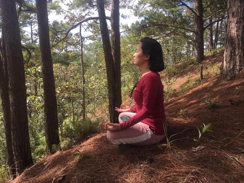 Farmstay O A Phao - Km37 Ham Yen Tuyen Quang 外观 照片
